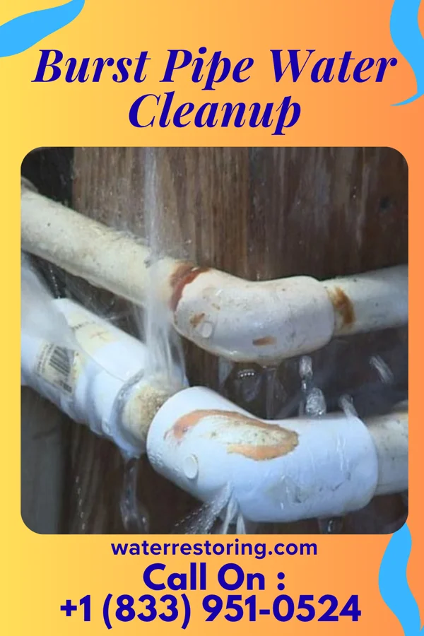 Burst Pipe Water Cleanup in Palm Beach, FL
